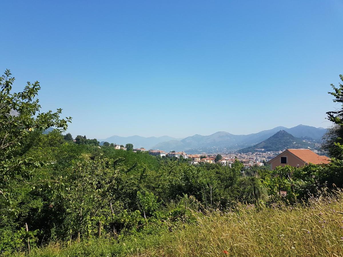 Villa Vicinus - 120 Mq - Parking - Garden Vietri 외부 사진