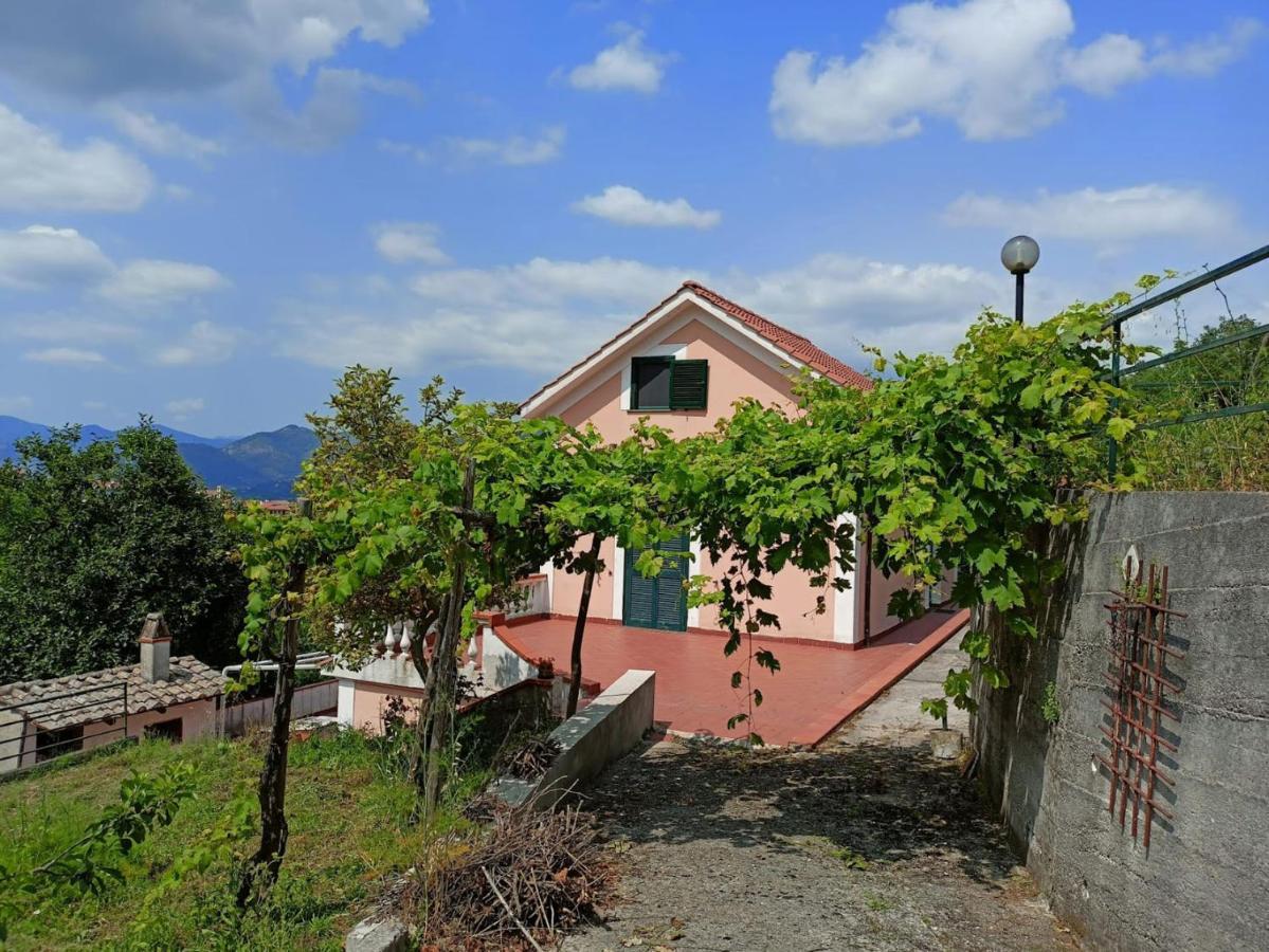 Villa Vicinus - 120 Mq - Parking - Garden Vietri 외부 사진