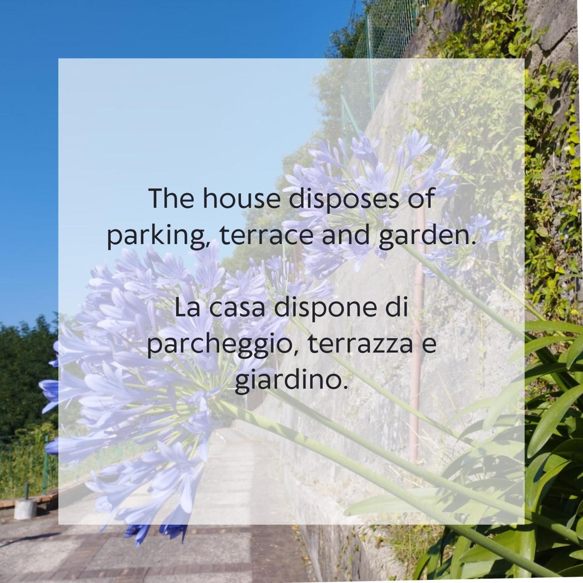 Villa Vicinus - 120 Mq - Parking - Garden Vietri 외부 사진